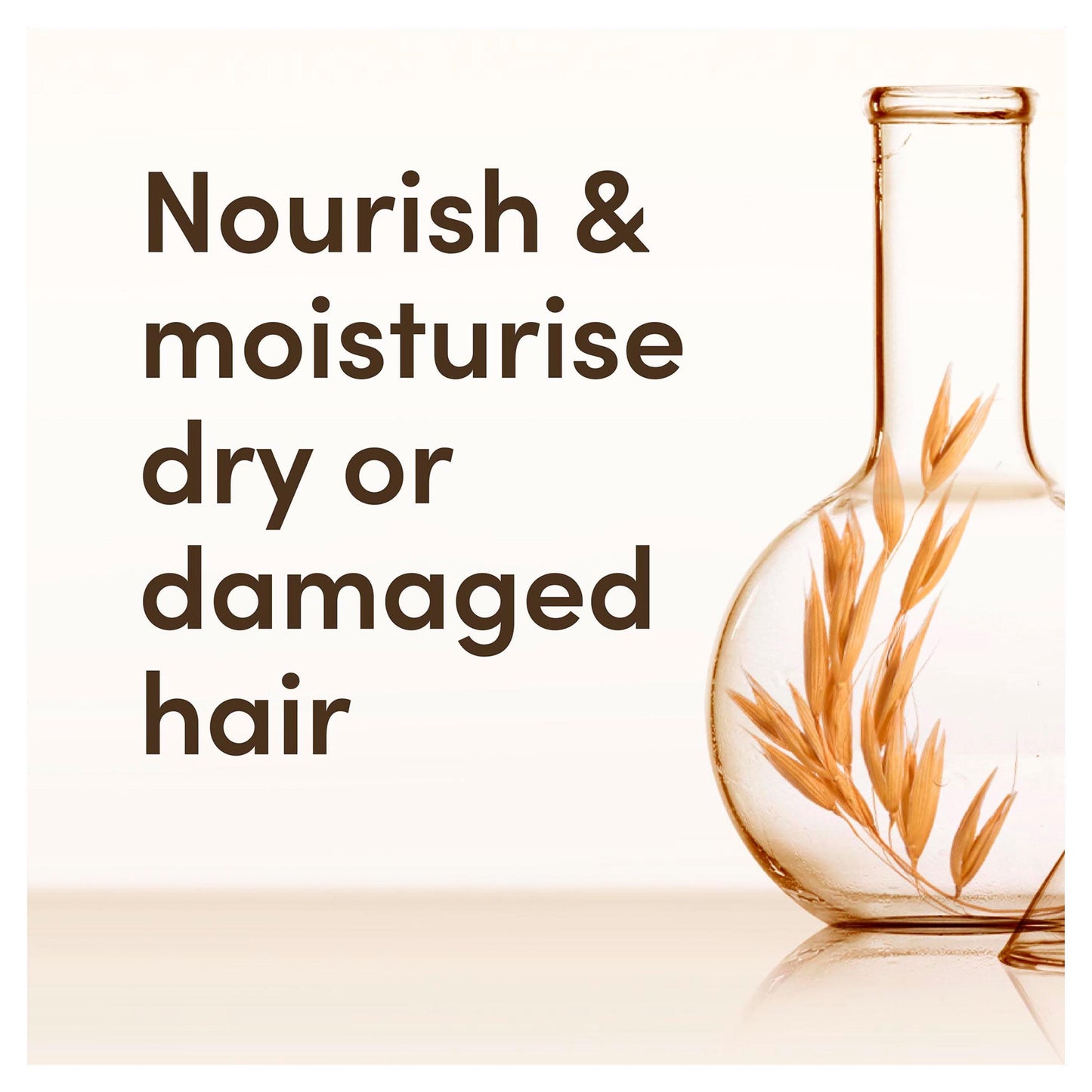 Aveeno - Oat Milk Blend - Daily Moisture+ For Dry Hair - Conditioner - 300ml
